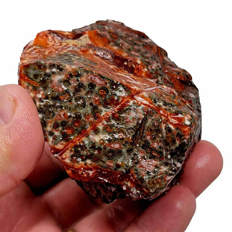 Leopard Skin Rhyolite Rough Chunk! - LapidaryCentral