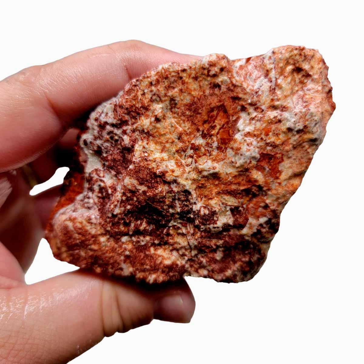 Leopard Skin Rhyolite Rough Chunk! - LapidaryCentral