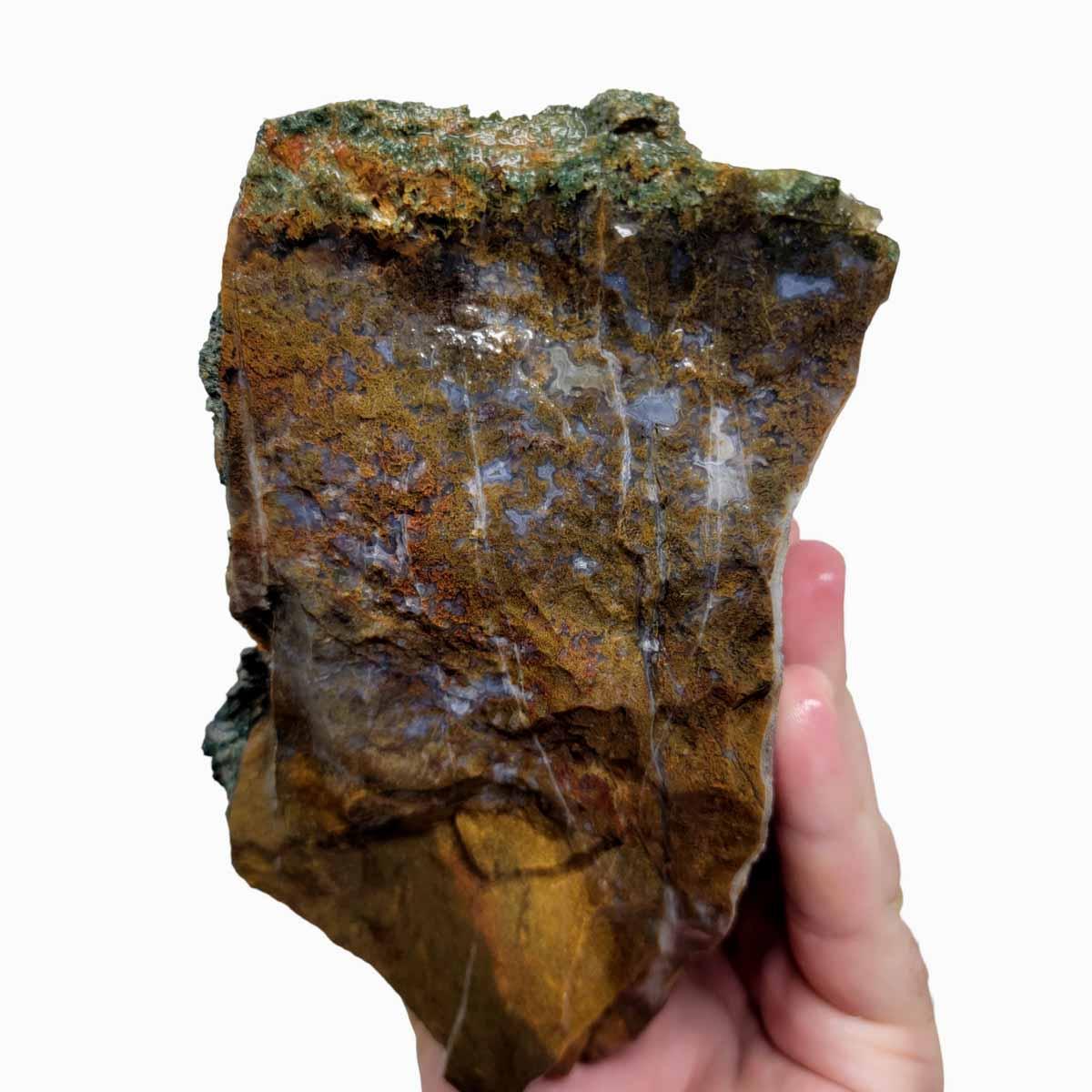 Maury Mountain Moss Agate Rough Chunk! - Lapidary Central