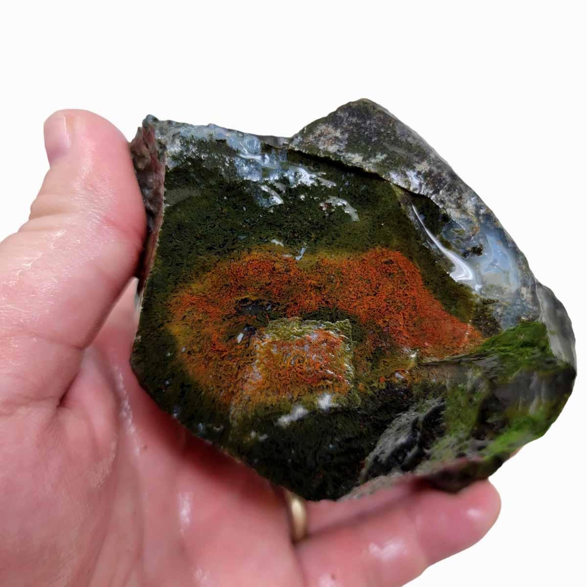 Maury Mountain Moss Agate Rough Chunk! - Lapidary Central