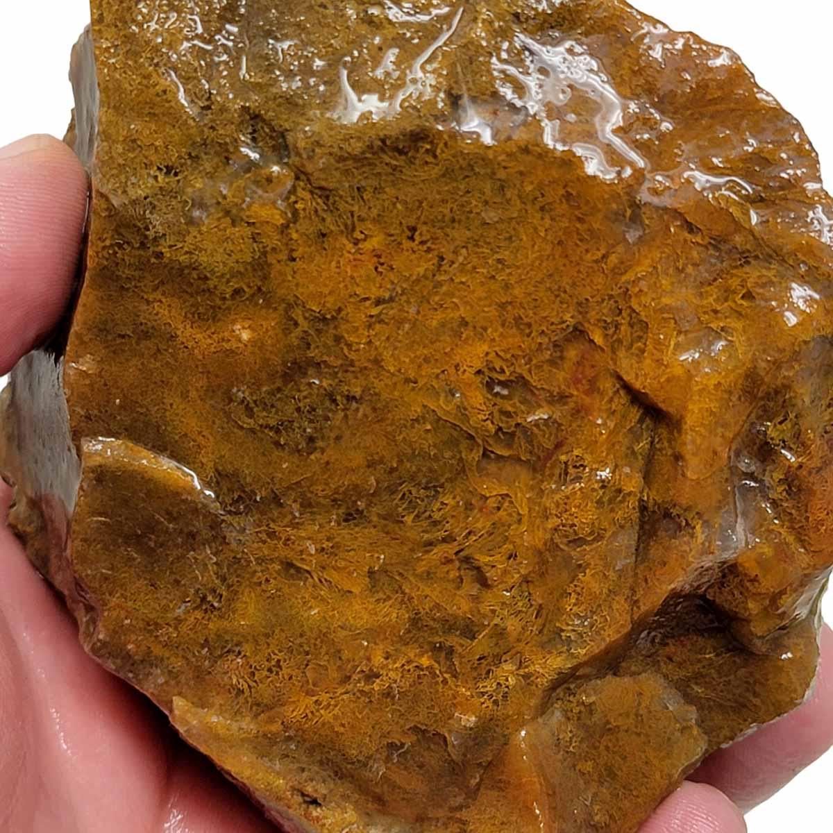 Maury Mountain Moss Agate Rough Chunk! - LapidaryCentral