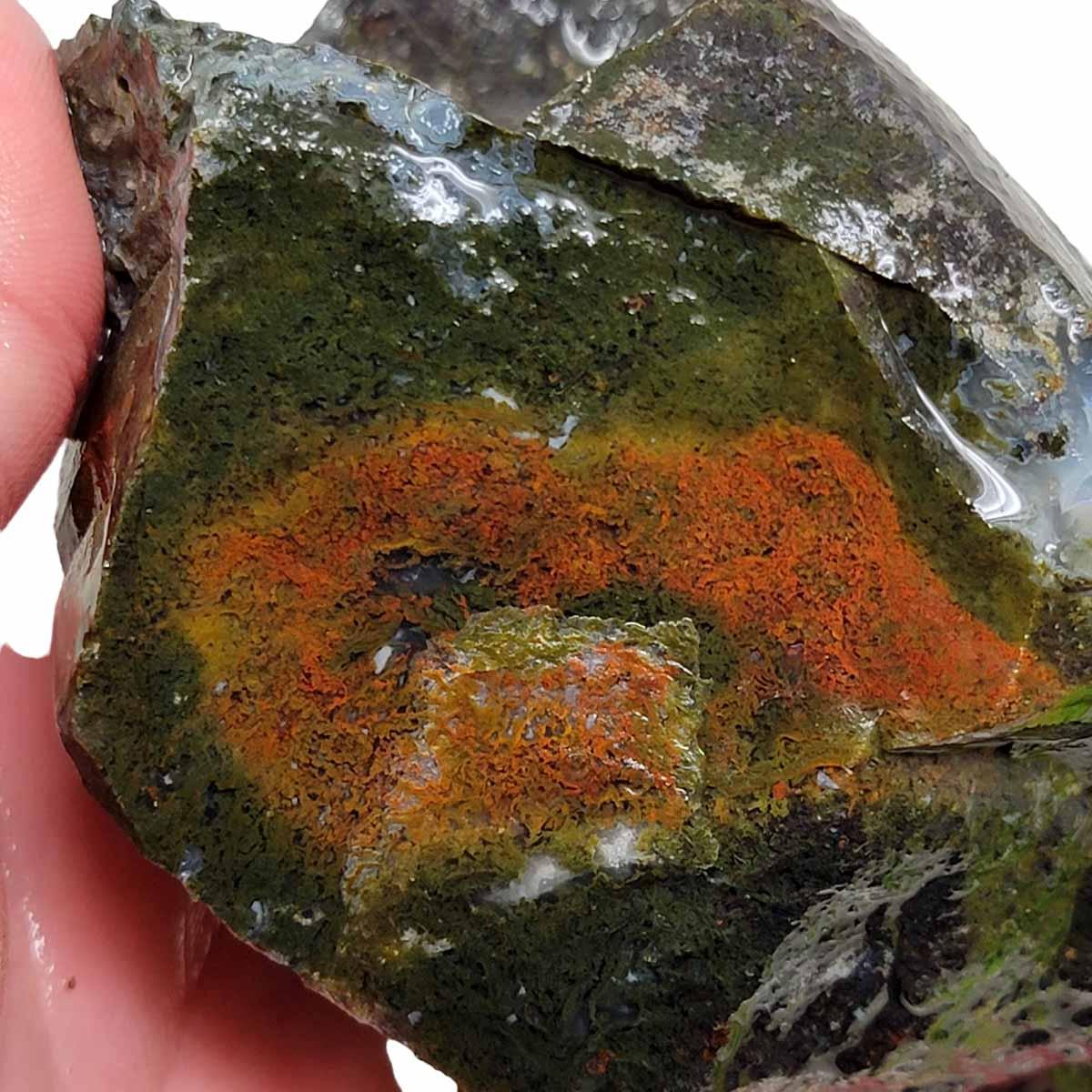 Maury Mountain Moss Agate Rough Chunk! - Lapidary Central