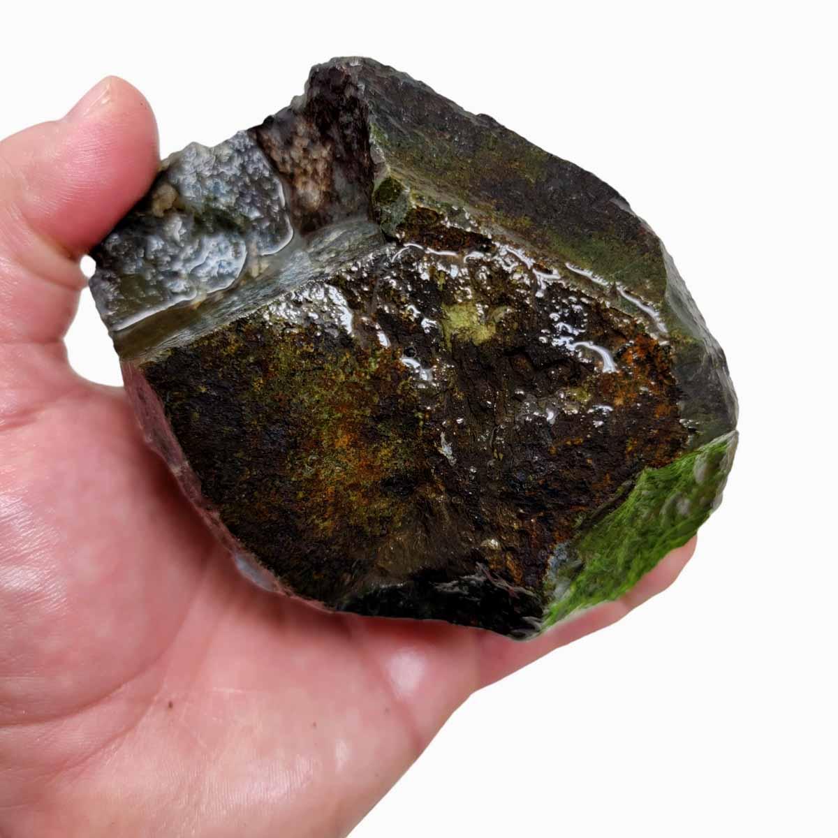 Maury Mountain Moss Agate Rough Chunk! - Lapidary Central