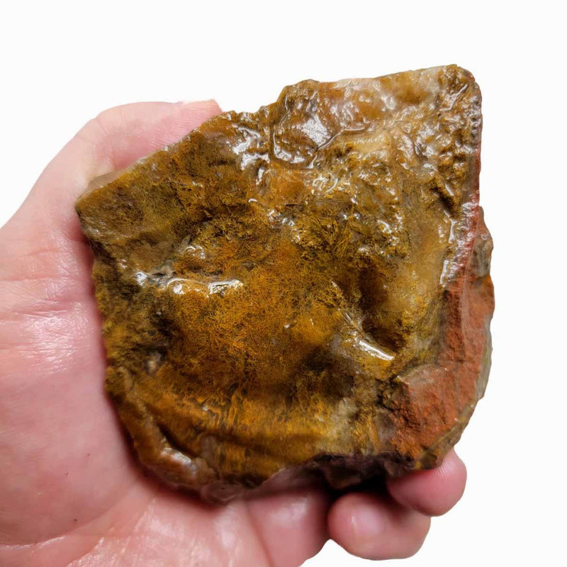 Maury Mountain Moss Agate Rough Chunk! - LapidaryCentral