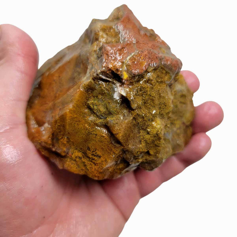 Maury Mountain Moss Agate Rough Chunk! - LapidaryCentral