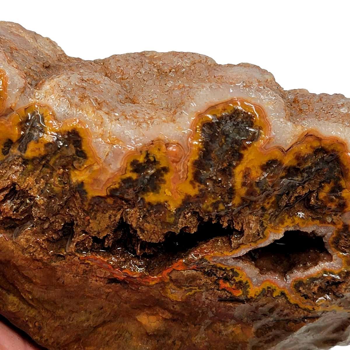 Moroccan Plume Agate Rough Chunk! - LapidaryCentral