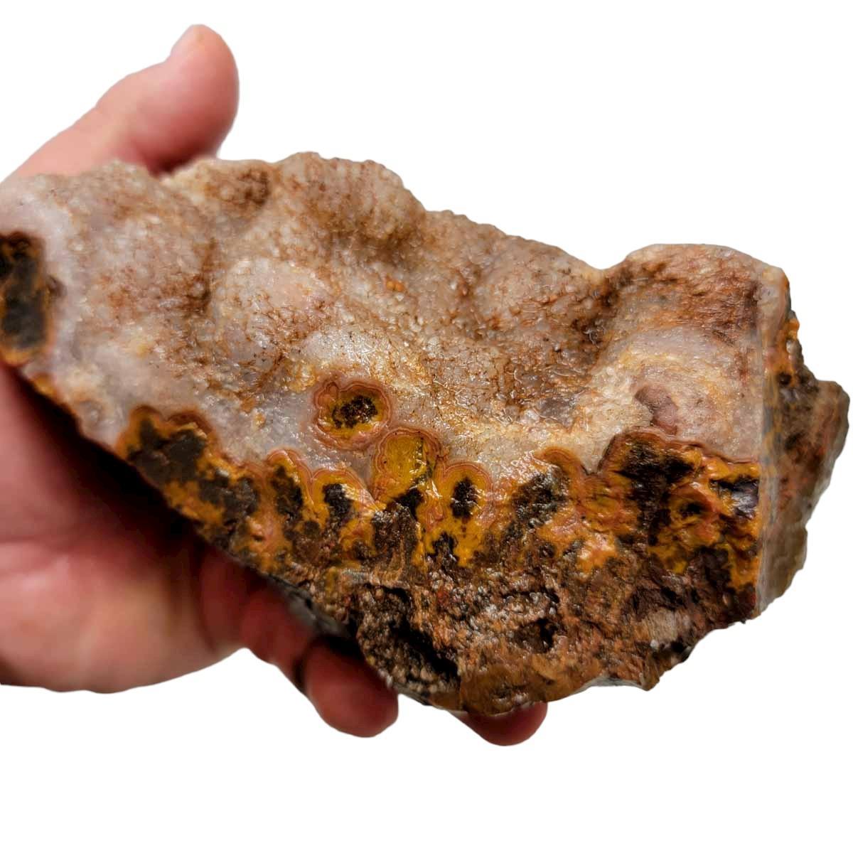 Moroccan Plume Agate Rough Chunk! - LapidaryCentral