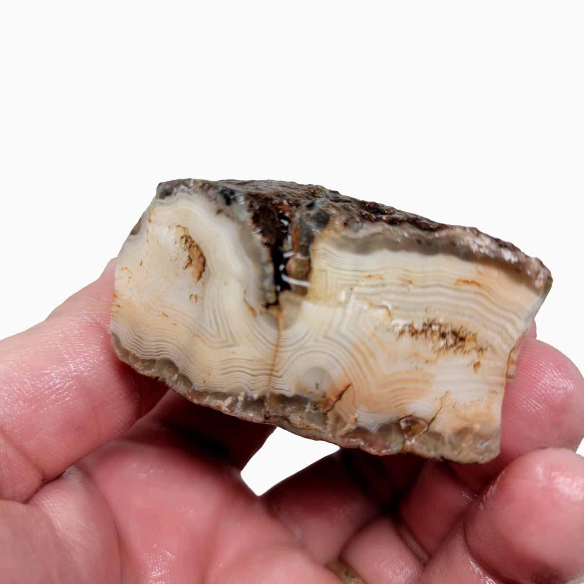 Moroccan Seam Agate Rough Chunk! - LapidaryCentral