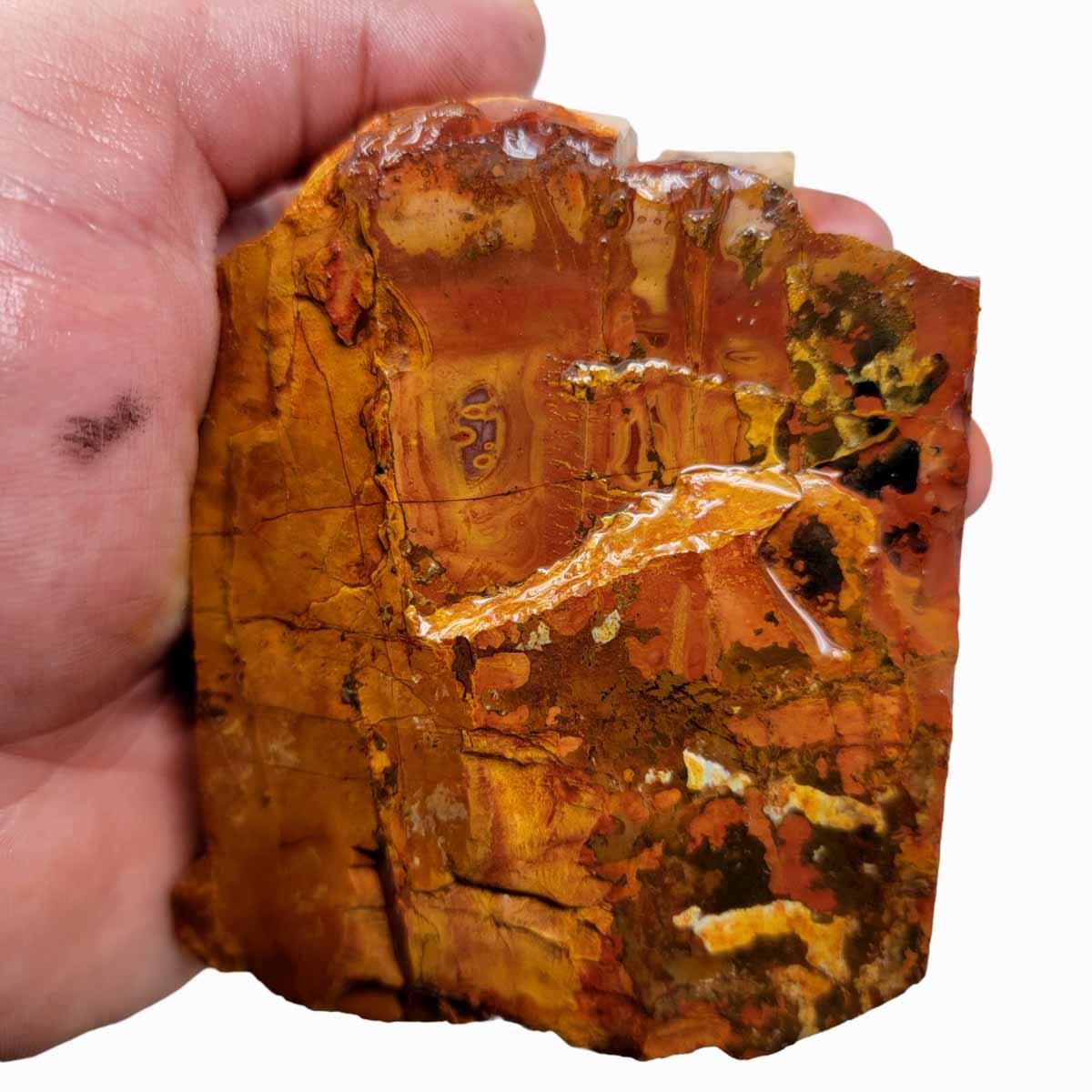 Noreena Jasper Jasper Rough Chunk! - LapidaryCentral