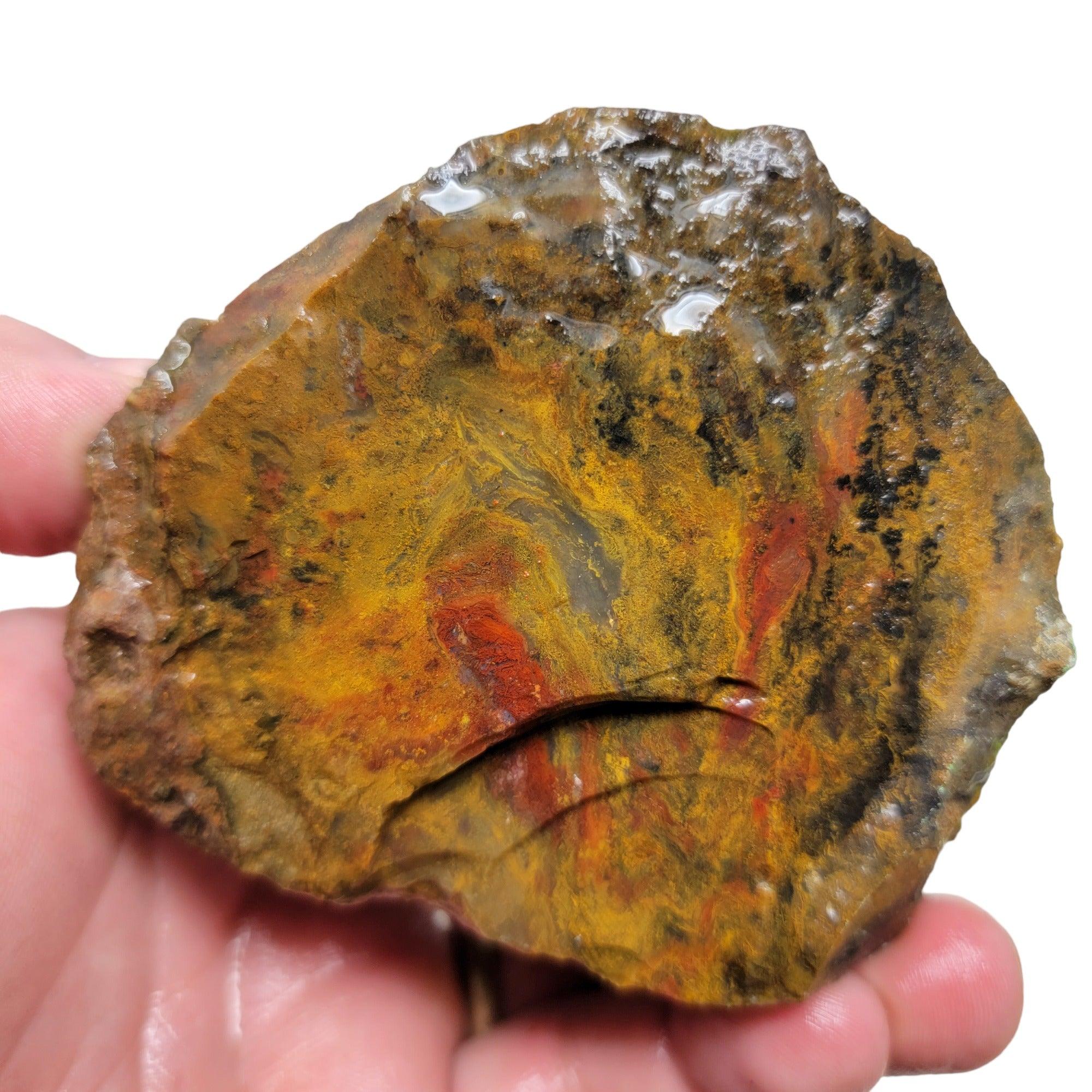 Ochoco Sunset Jasper Rough Chunk! - LapidaryCentral