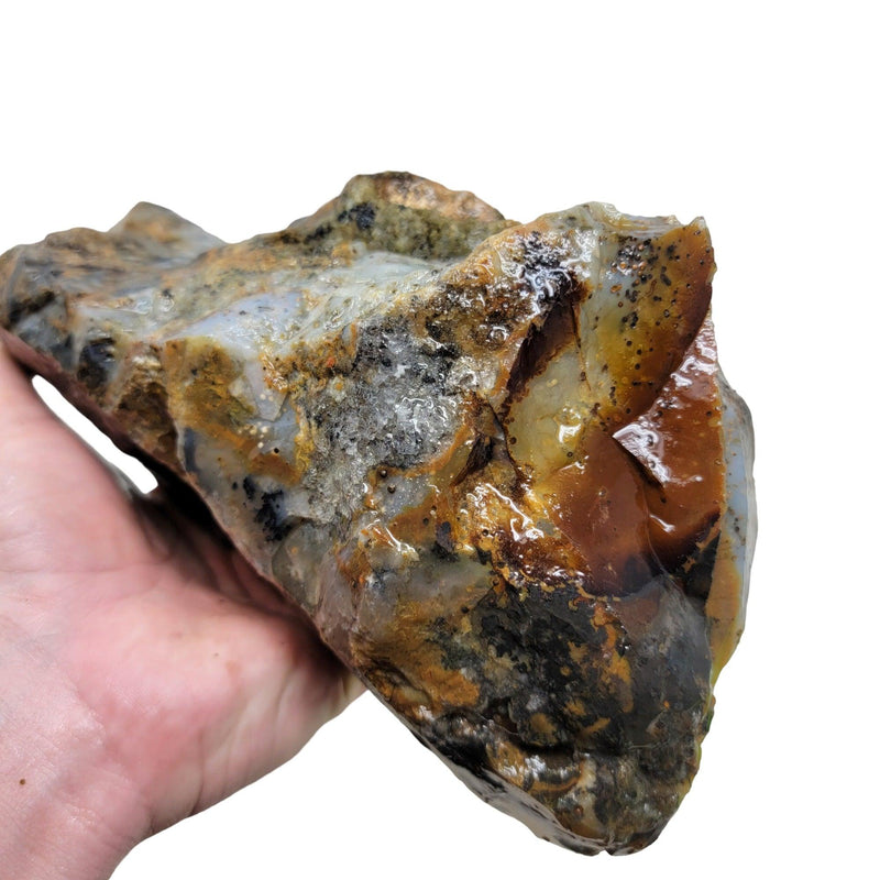 Ochoco Sunset Jasper Rough Chunk! - LapidaryCentral