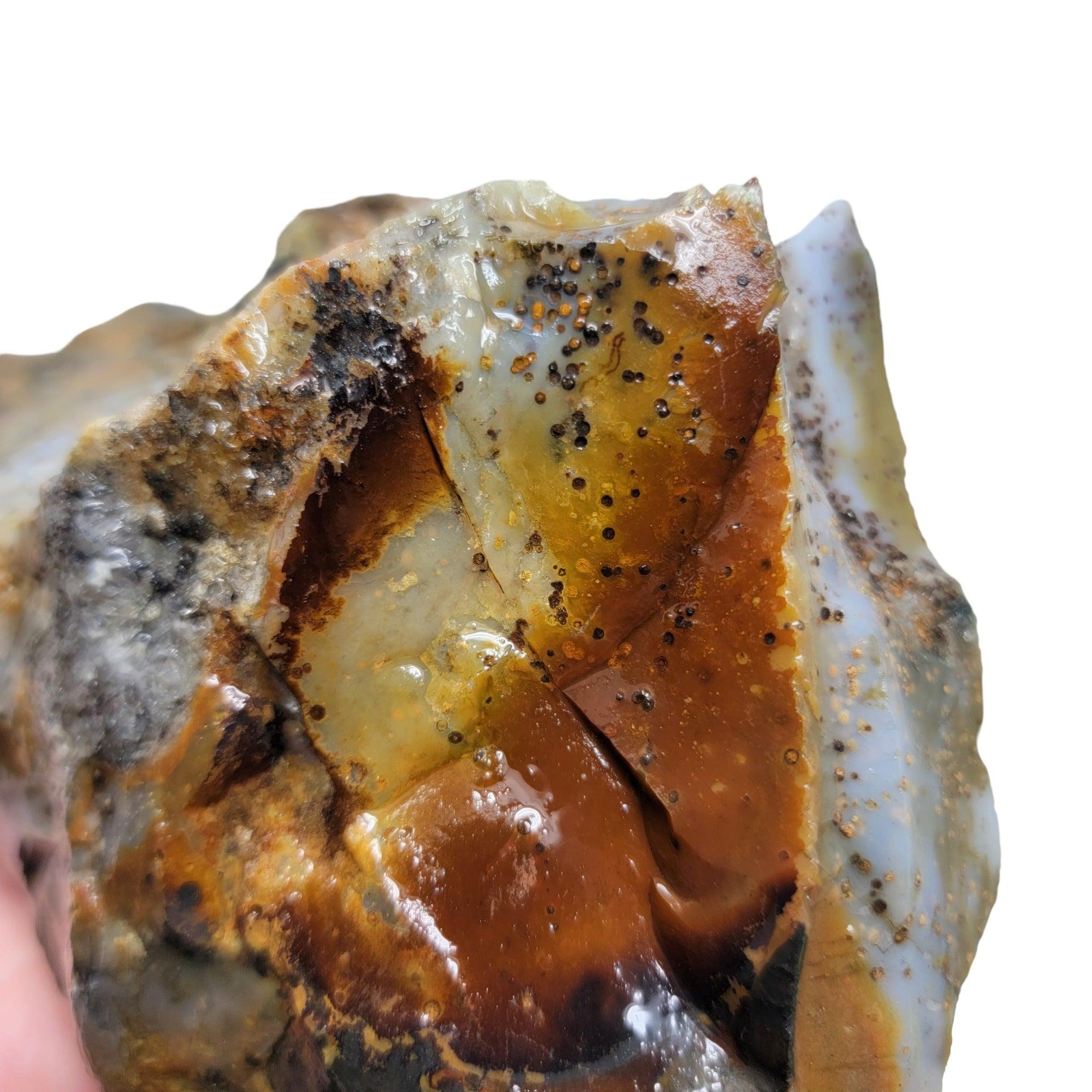 Ochoco Sunset Jasper Rough Chunk! - LapidaryCentral