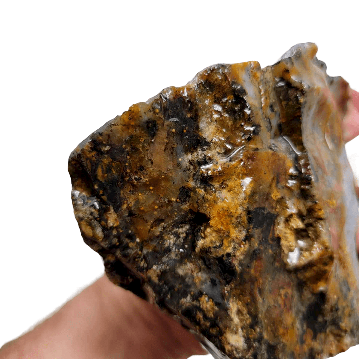 Ochoco Sunset Jasper Rough Chunk! - LapidaryCentral