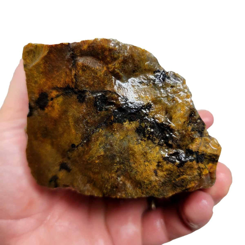 Ochoco Sunset Jasper Rough Chunk! - LapidaryCentral