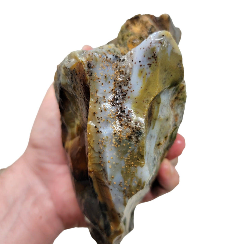 Ochoco Sunset Jasper Rough Chunk! - LapidaryCentral