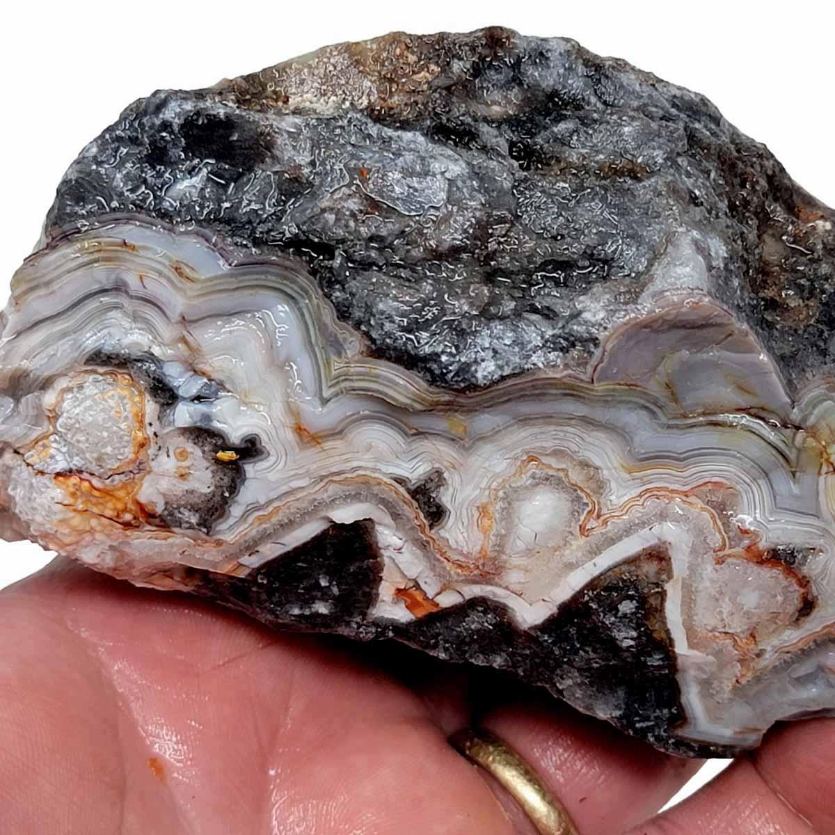 Old Vein Lace Agate Rough Chunk! - LapidaryCentral