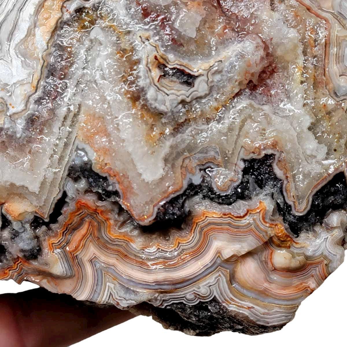 Old Vein Lace Agate Rough Chunk! - LapidaryCentral