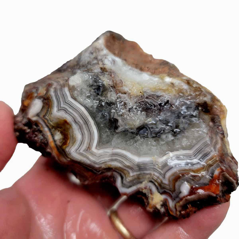 Old Vein Lace Agate Rough Chunk! - LapidaryCentral