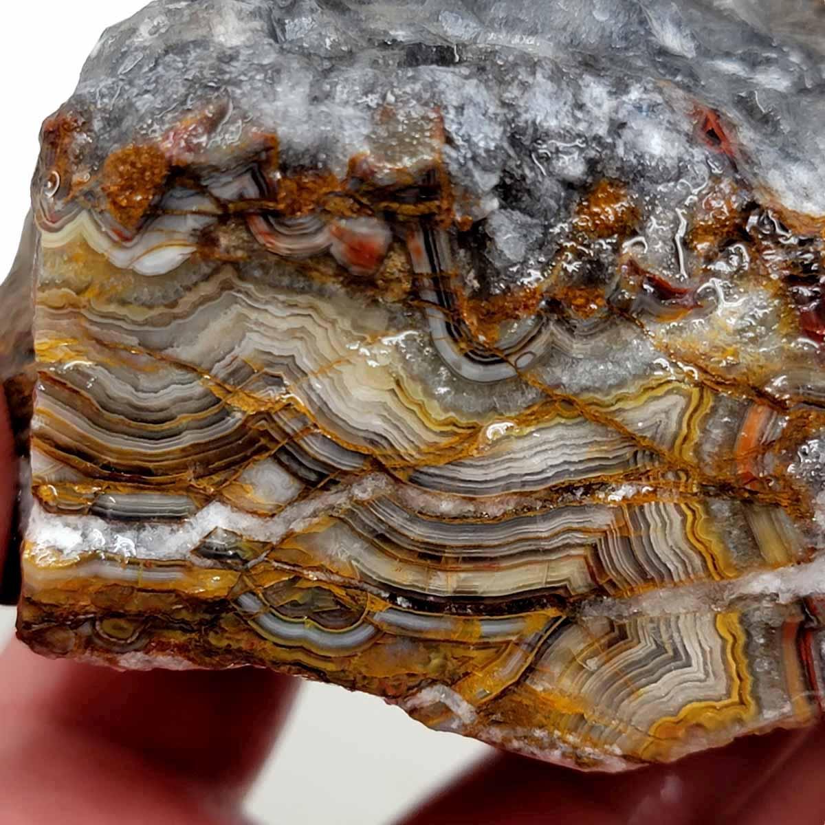 Old Vein Lace Agate Rough Chunk! - LapidaryCentral