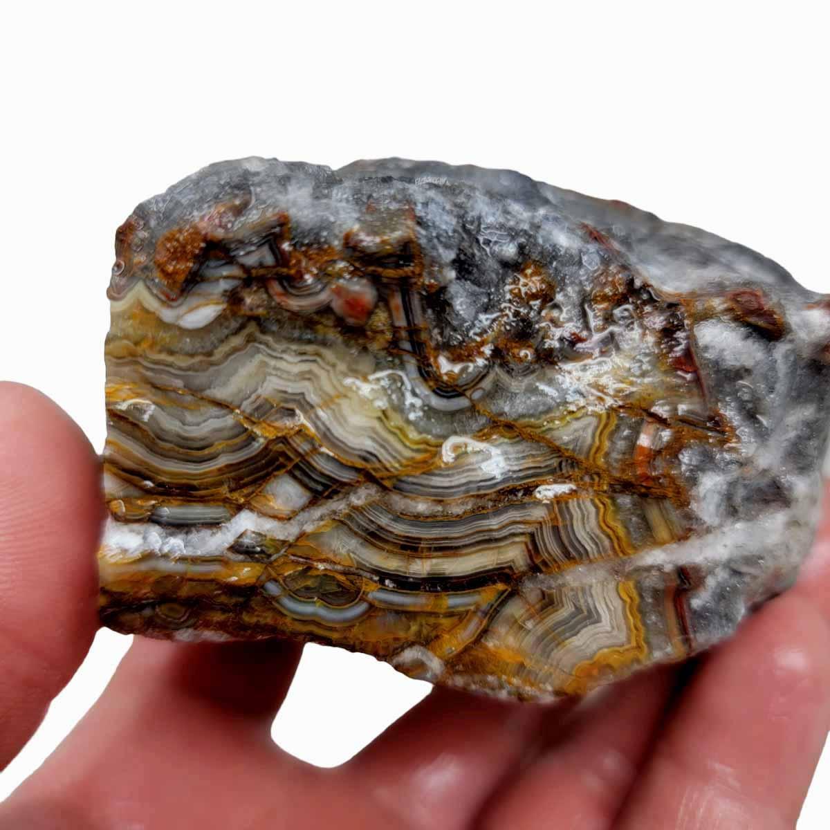 Old Vein Lace Agate Rough Chunk! - LapidaryCentral