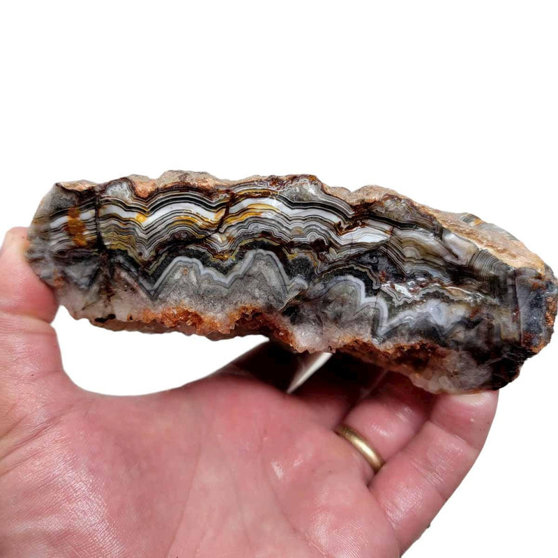 Old Vein Lace Agate Rough Chunk! - LapidaryCentral