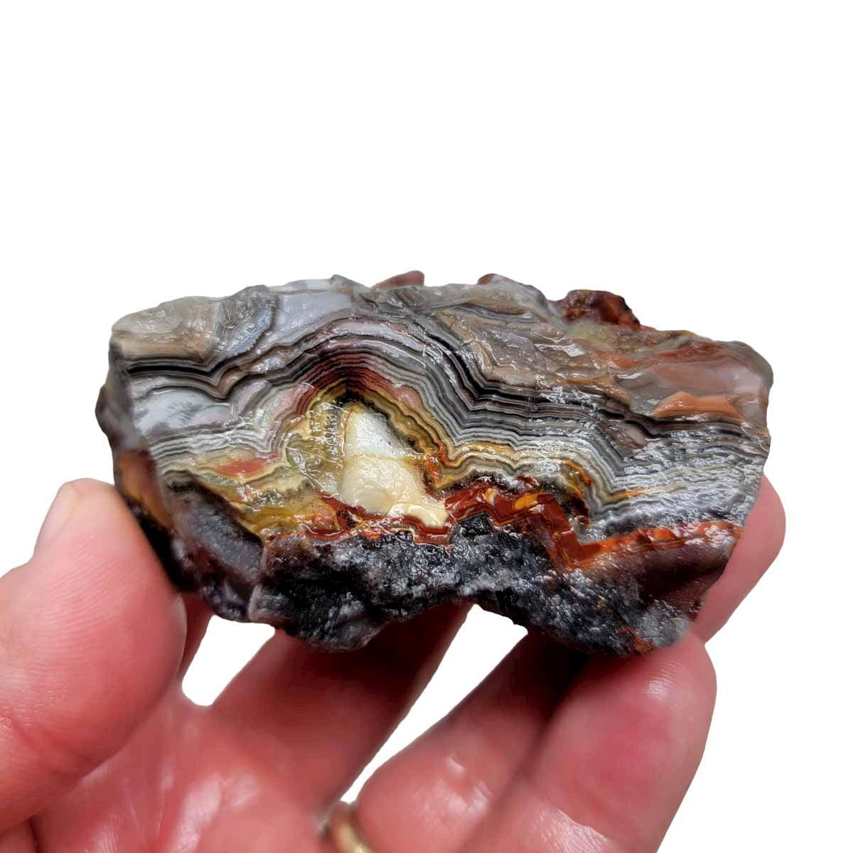 Old Vein Lace Agate Rough Chunk! - LapidaryCentral