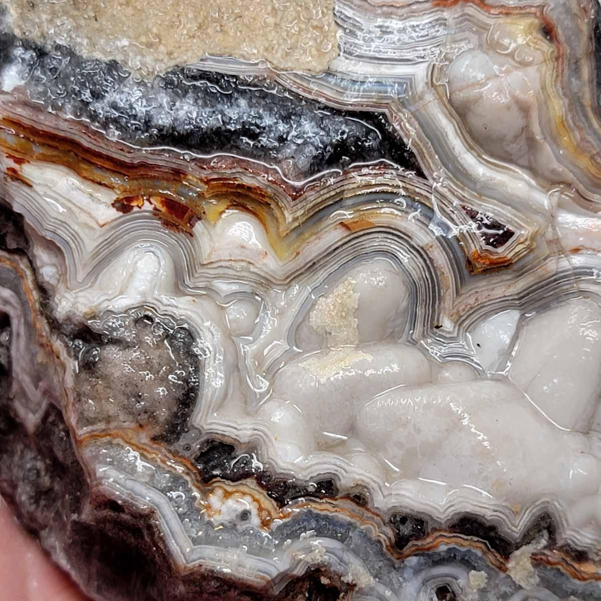 Old Vein Lace Agate Rough Chunk! - LapidaryCentral