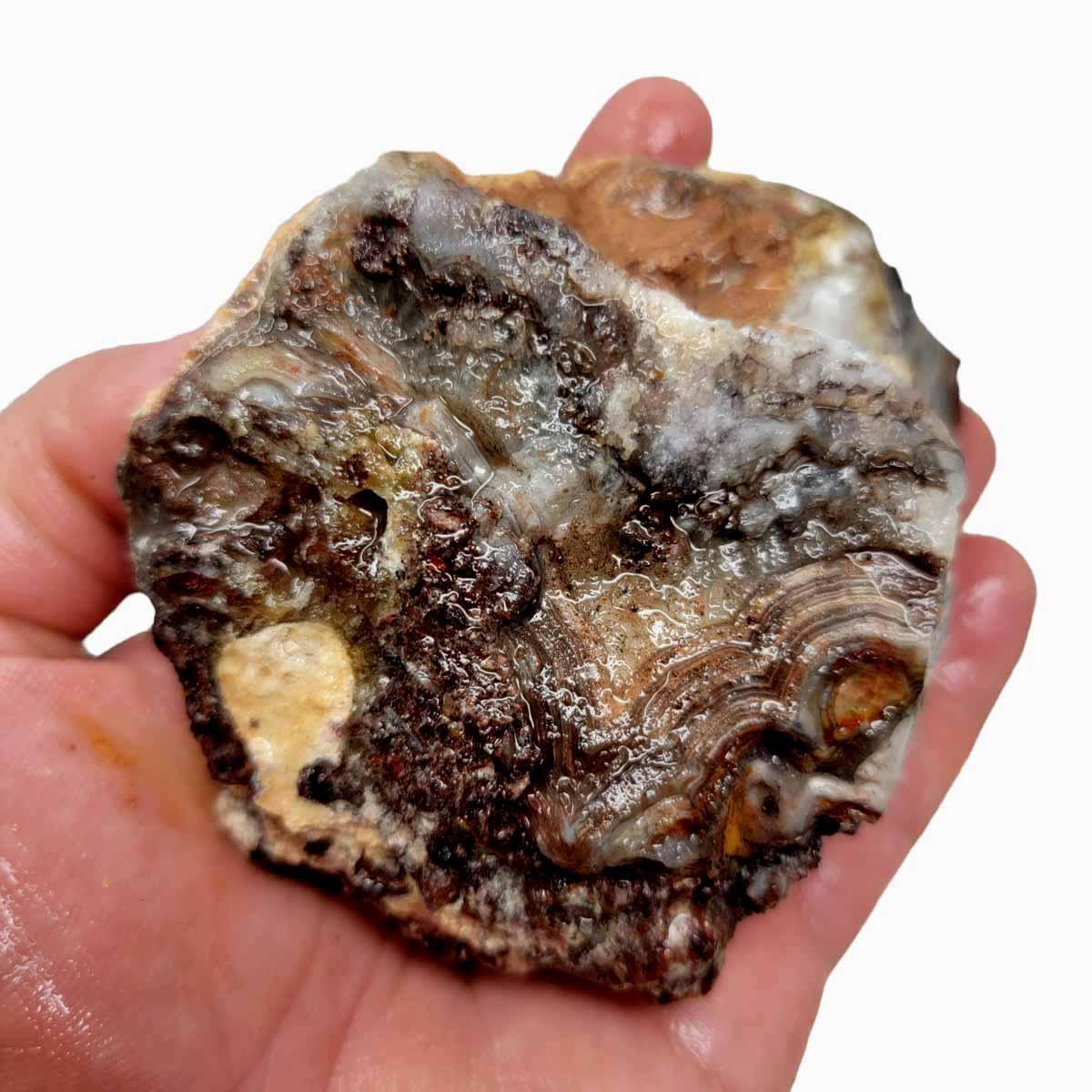 Old Vein Lace Agate Rough Chunk! - LapidaryCentral