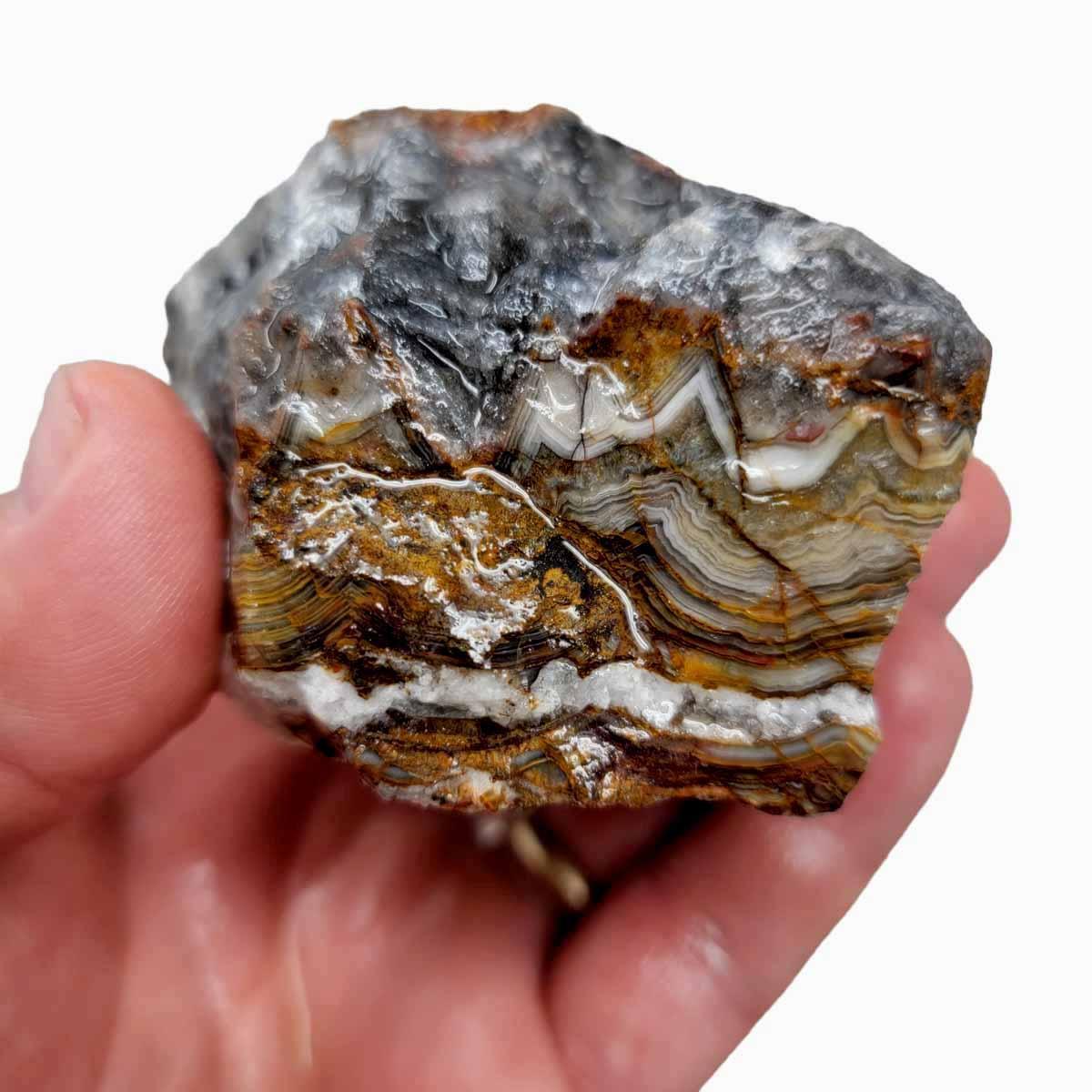 Old Vein Lace Agate Rough Chunk! - LapidaryCentral