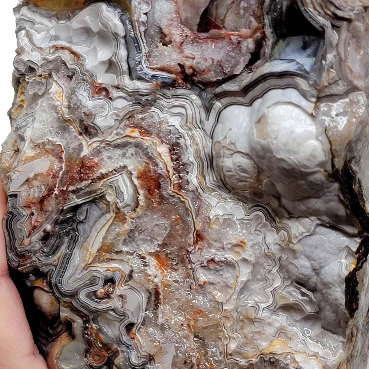 Old Vein Lace Agate Rough Chunk! - LapidaryCentral