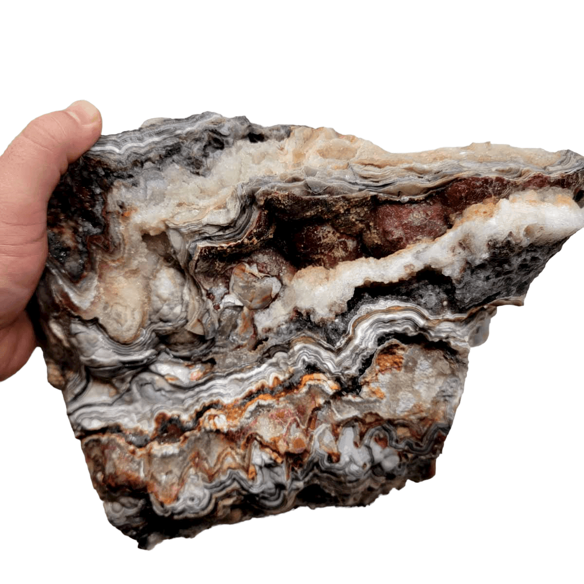 Old Vein Lace Agate Rough Chunk! - LapidaryCentral