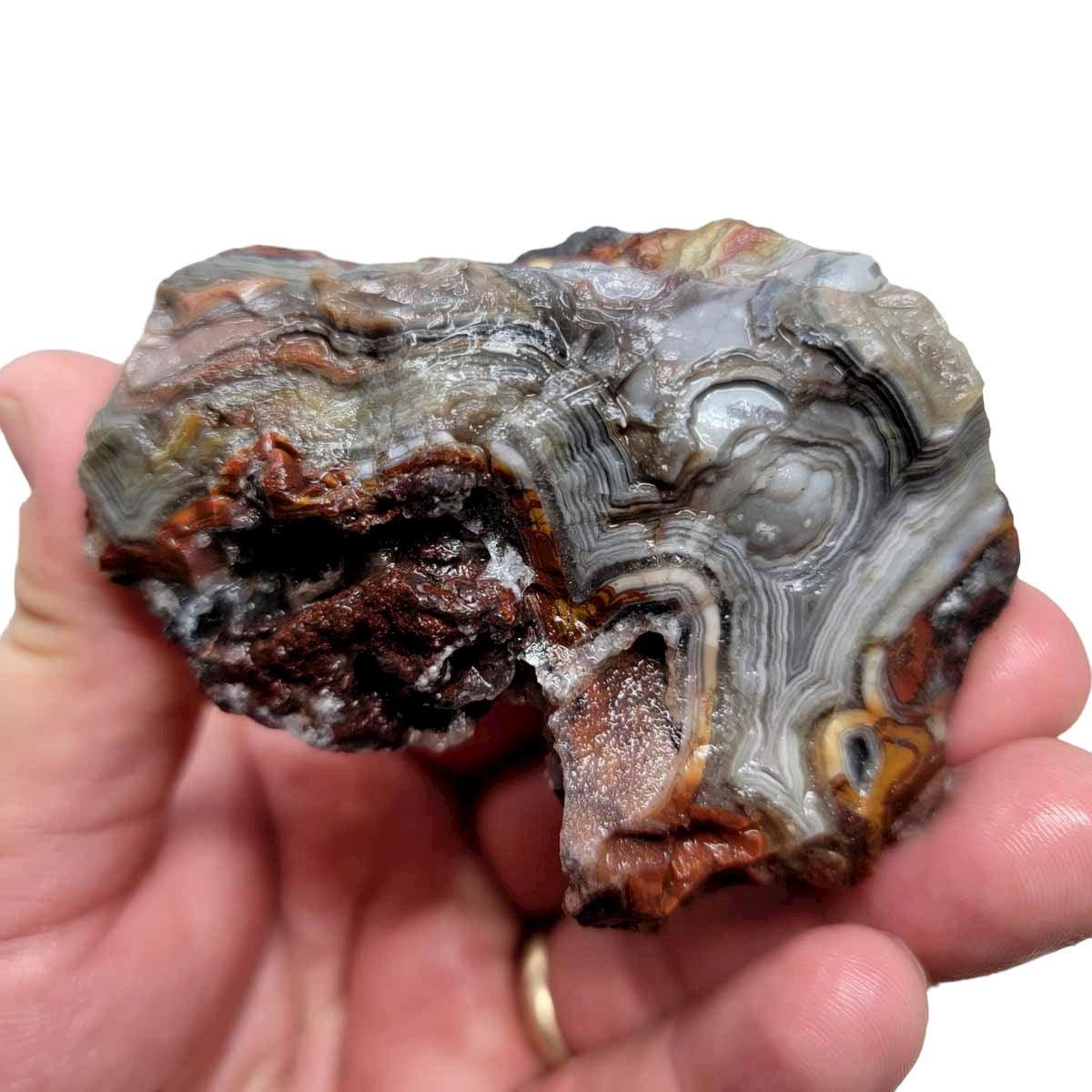 Old Vein Lace Agate Rough Chunk! - LapidaryCentral