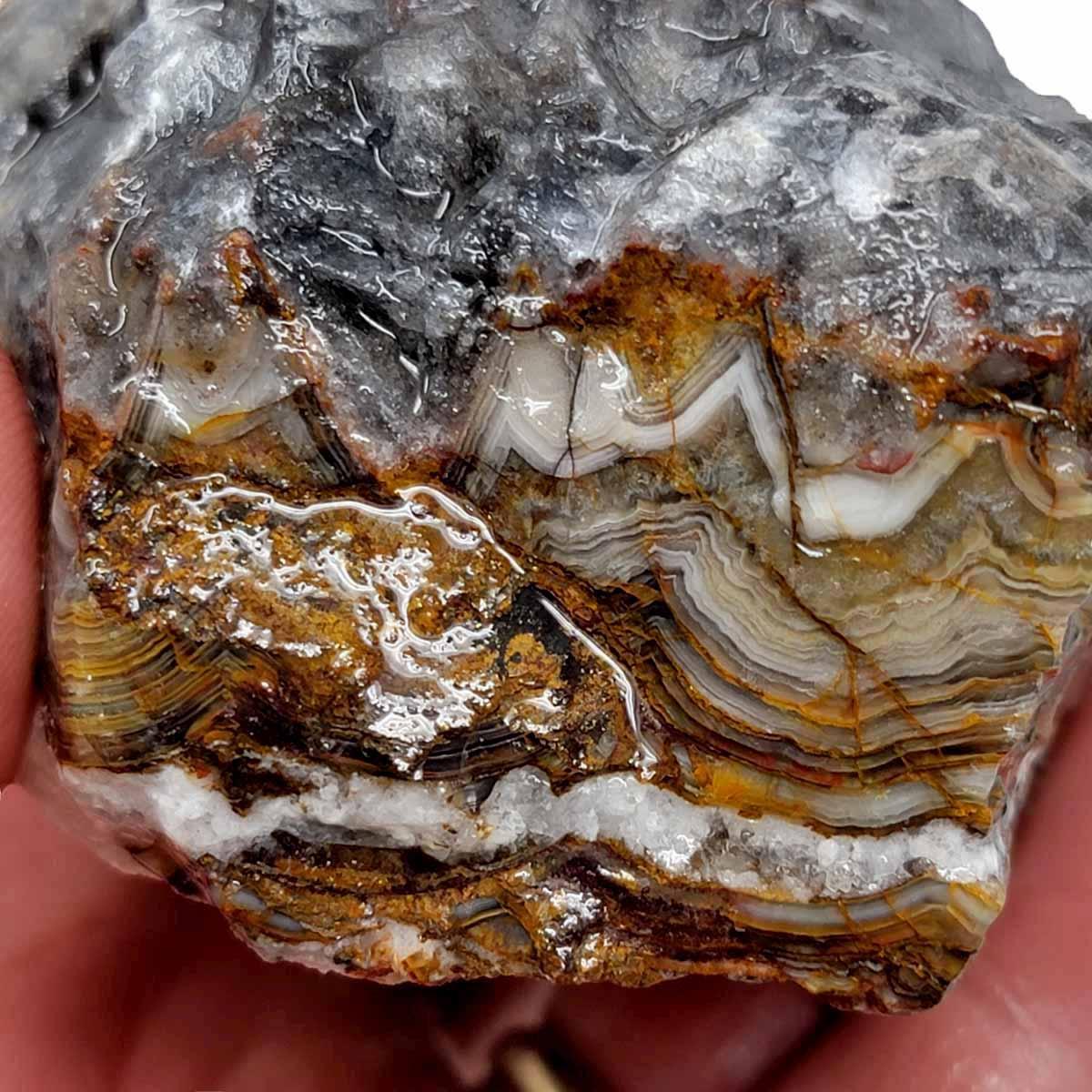 Old Vein Lace Agate Rough Chunk! - LapidaryCentral