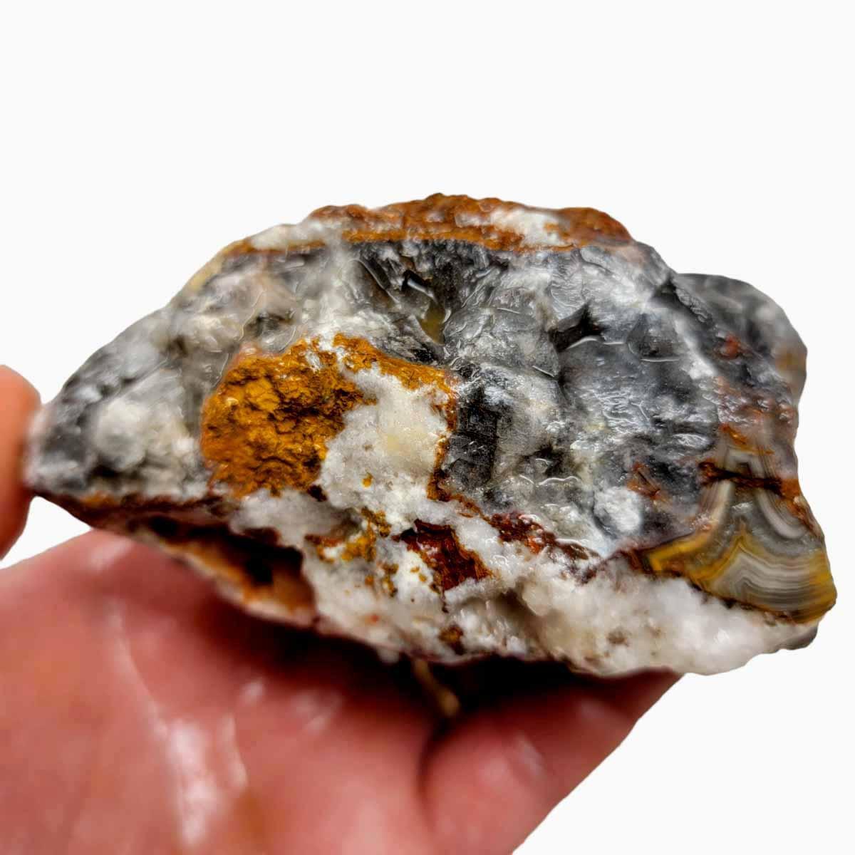 Old Vein Lace Agate Rough Chunk! - LapidaryCentral