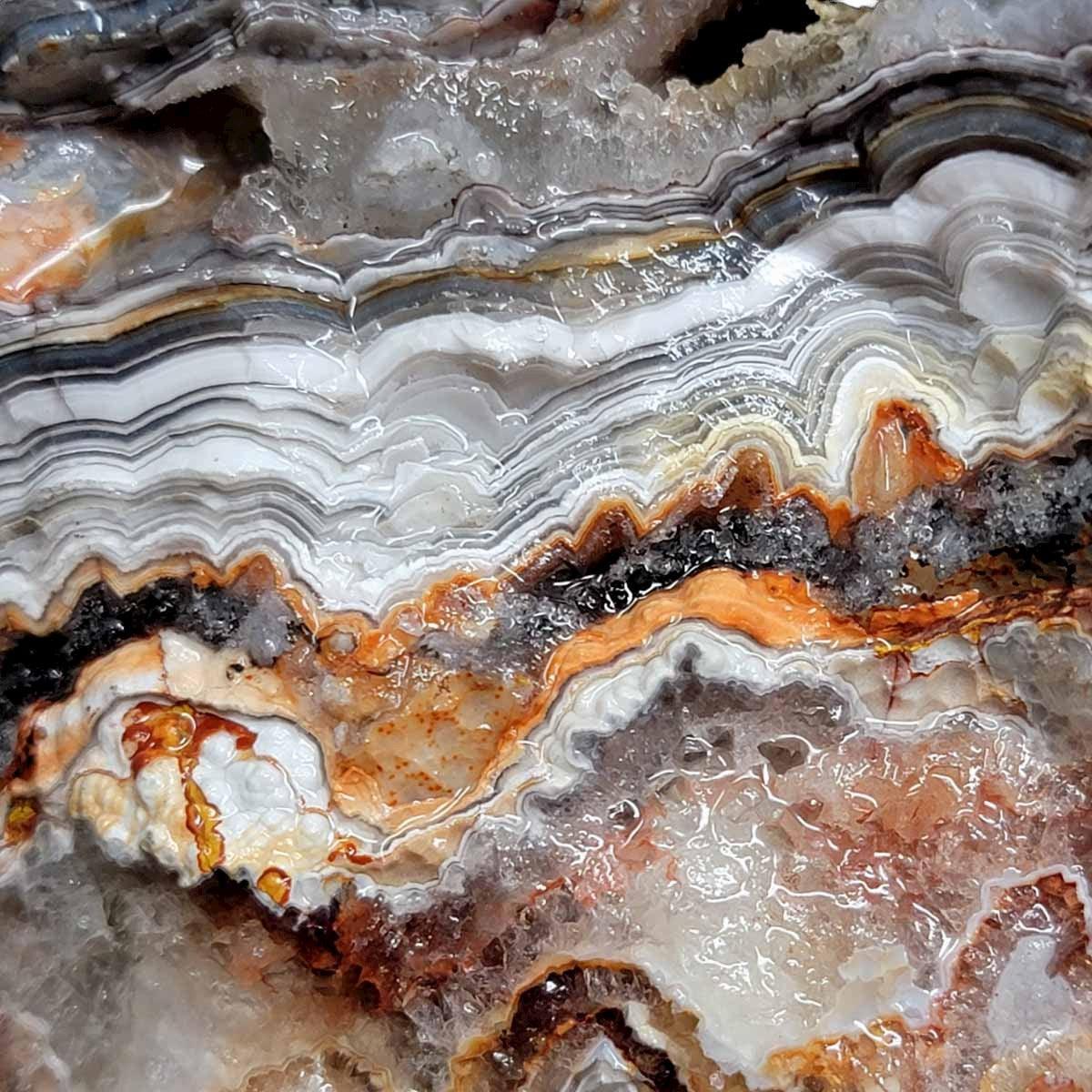 Old Vein Lace Agate Rough Chunk! - LapidaryCentral