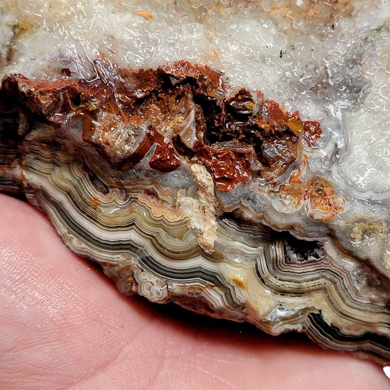 Old Vein Lace Agate Rough Chunk! - LapidaryCentral