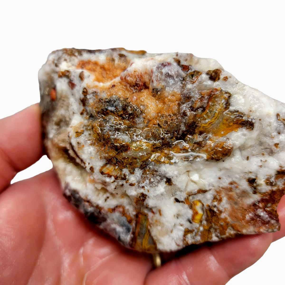 Old Vein Lace Agate Rough Chunk! - LapidaryCentral