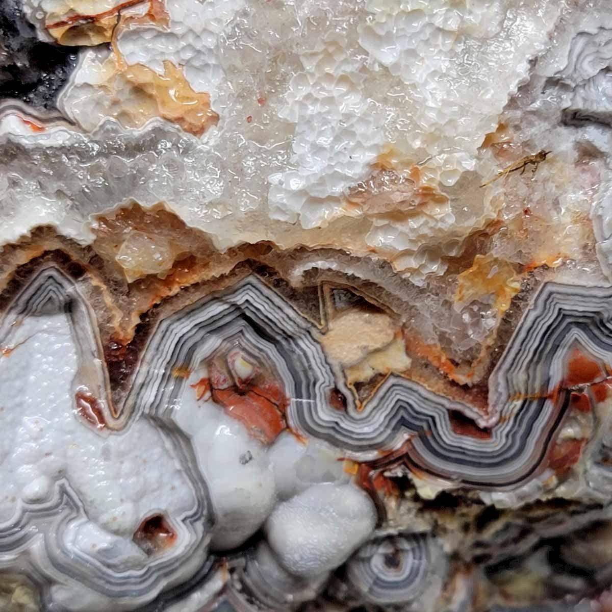 Old Vein Lace Agate Rough Chunk! - LapidaryCentral