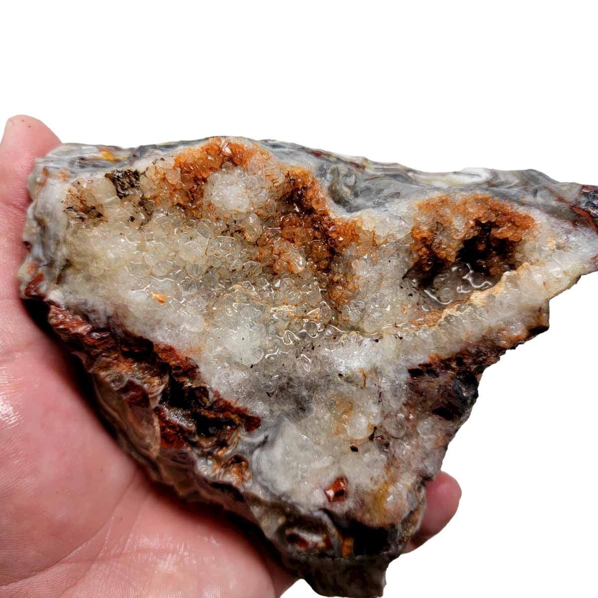 Old Vein Lace Agate Rough Chunk! - LapidaryCentral