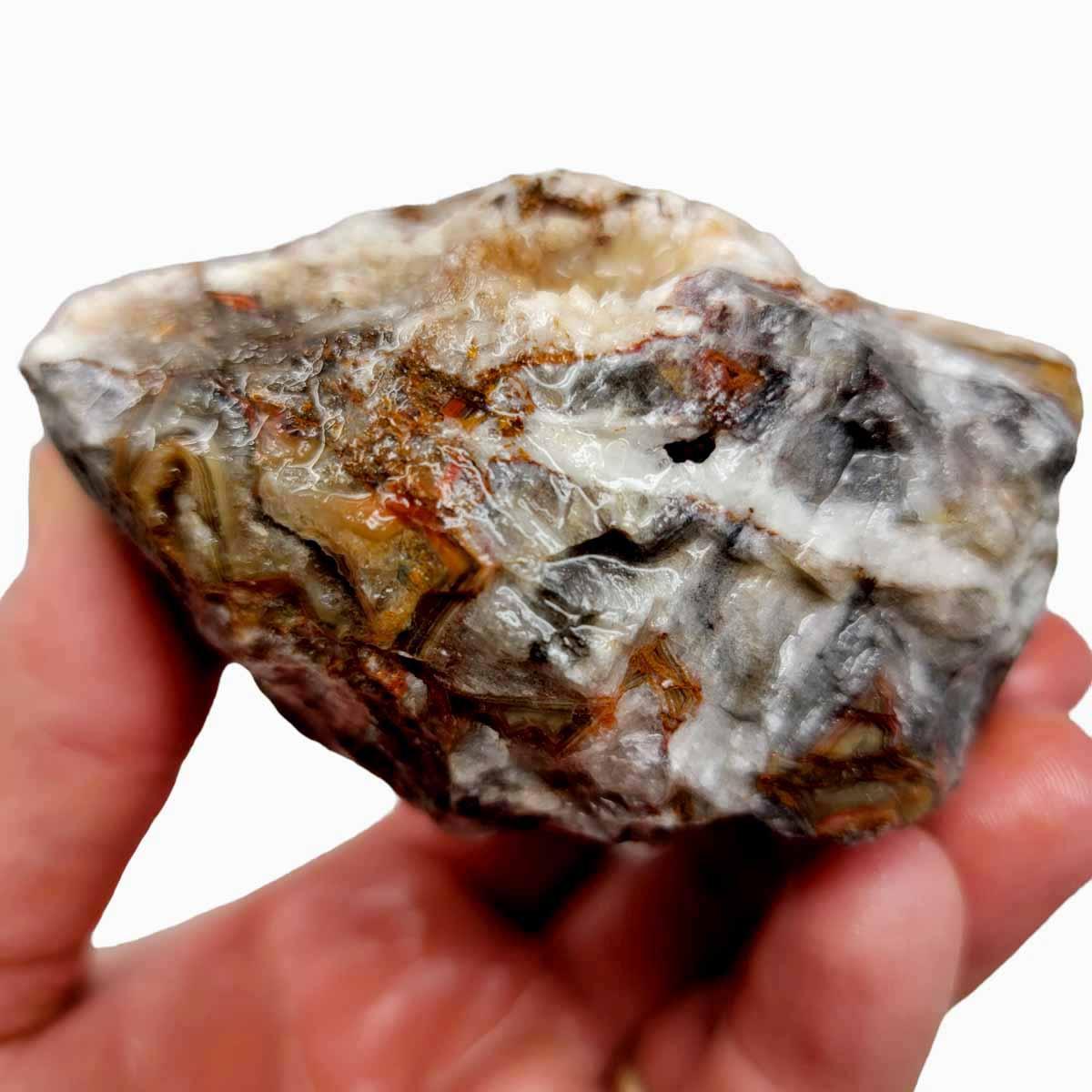 Old Vein Lace Agate Rough Chunk! - LapidaryCentral