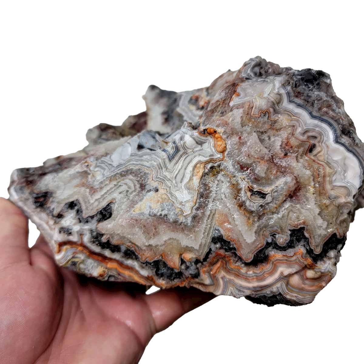 Old Vein Lace Agate Rough Chunk! - LapidaryCentral