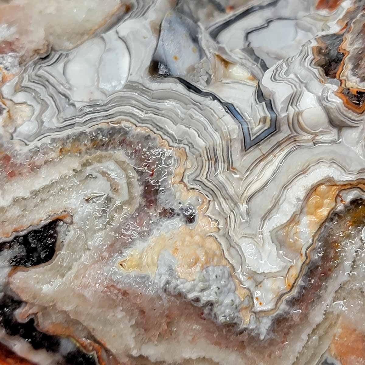 Old Vein Lace Agate Rough Chunk! - LapidaryCentral