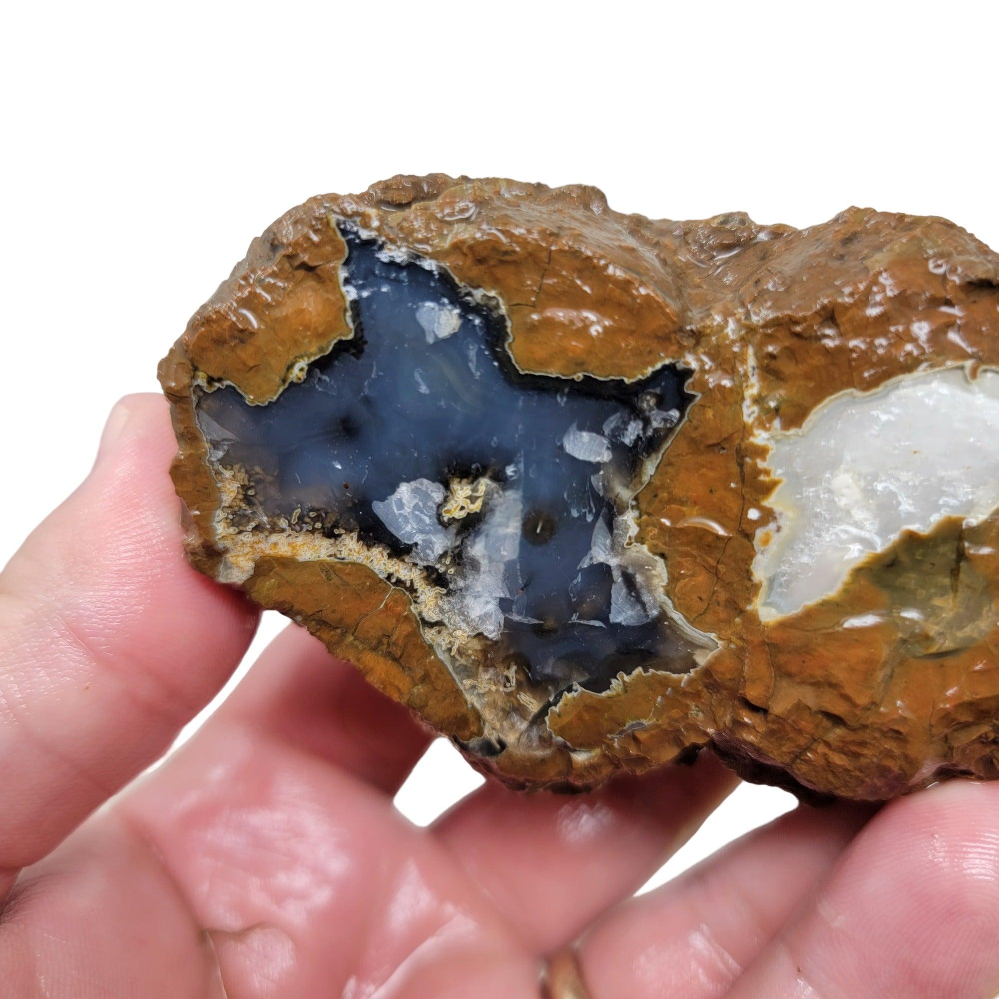 Priday Blue Bed Dual ThunderEgg Rough Chunk! - Lapidary Central