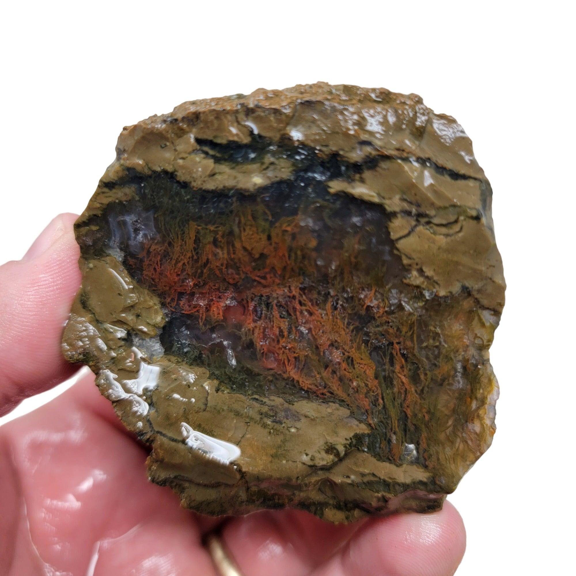 Priday Moss Bed Egg Rough Chunk! - Lapidary Central