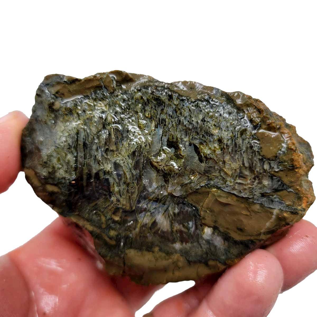 Priday Moss Bed Egg Rough Chunk! - LapidaryCentral