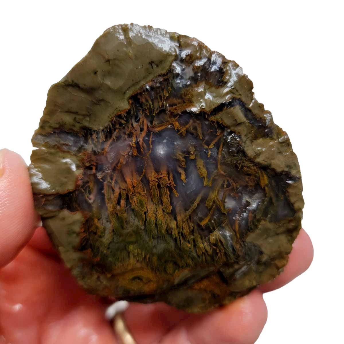 Priday Moss Bed Egg Rough Chunk! - LapidaryCentral