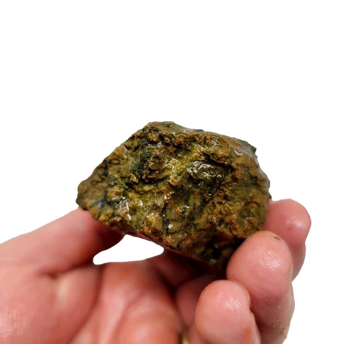 Priday Moss Bed Egg Rough Chunk! - LapidaryCentral