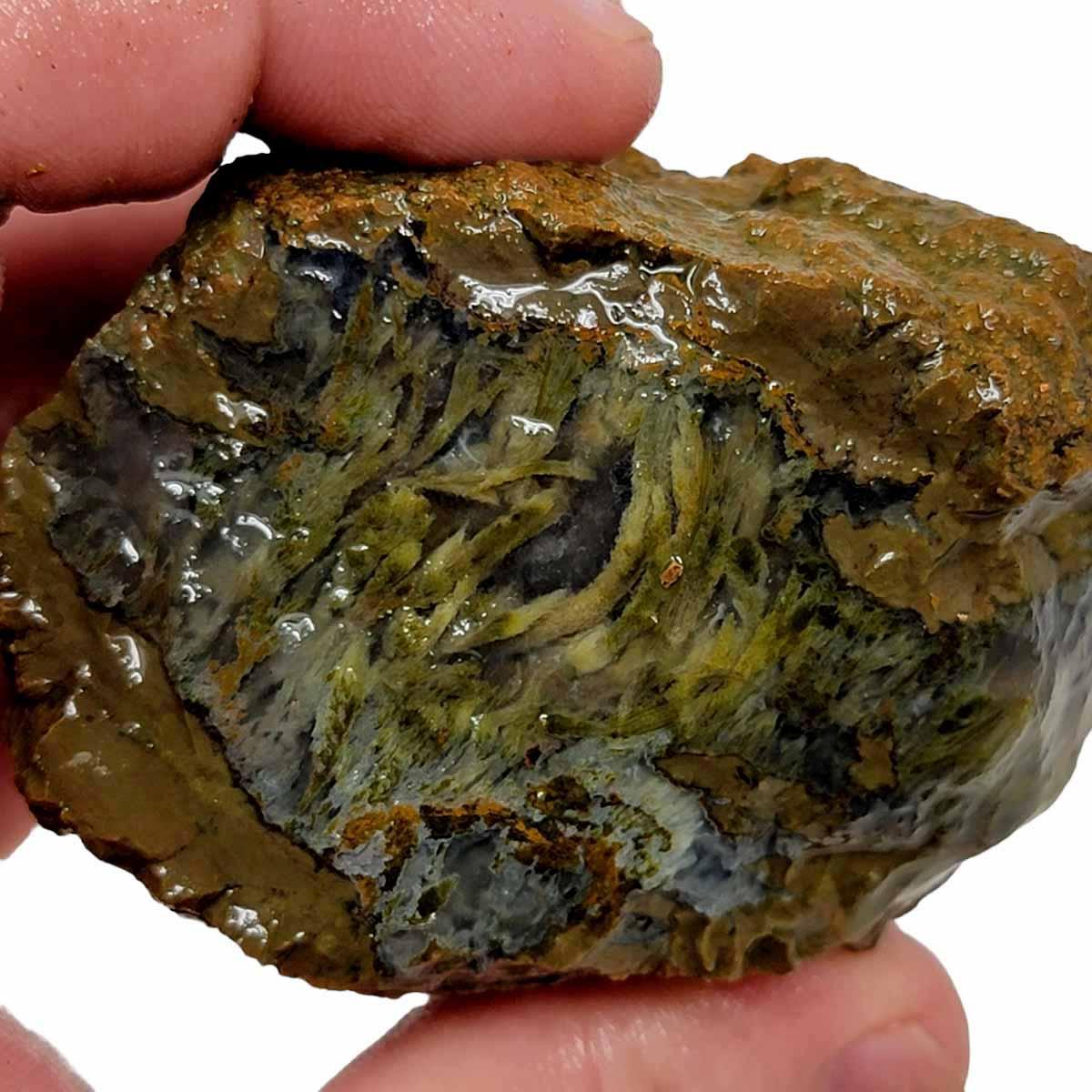 Priday Moss Bed Egg Rough Chunk! - LapidaryCentral