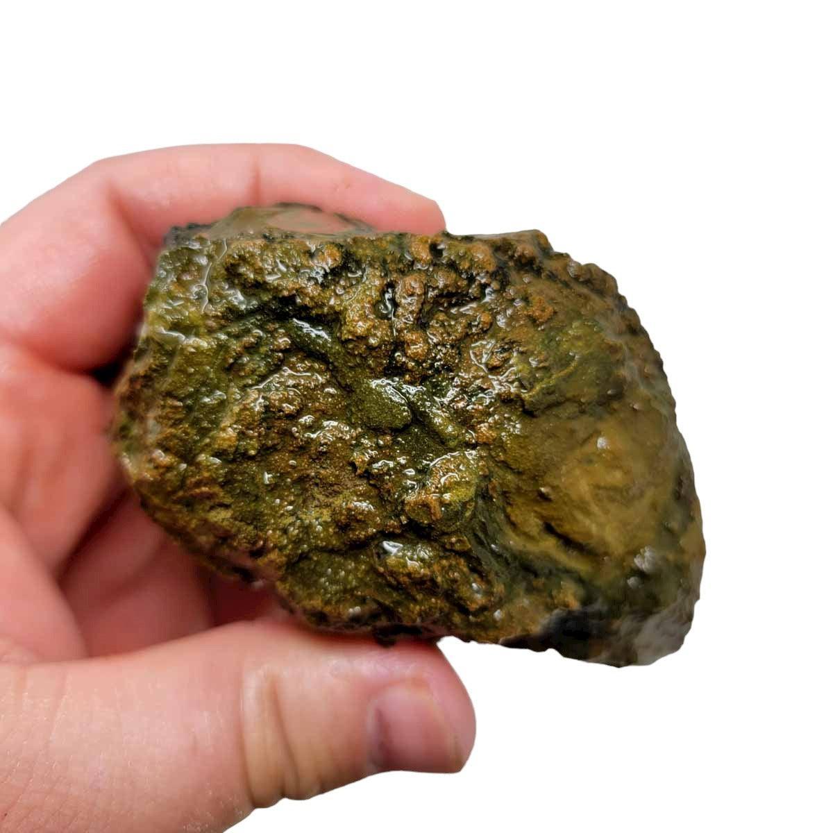 Priday Moss Bed Egg Rough Chunk! - LapidaryCentral