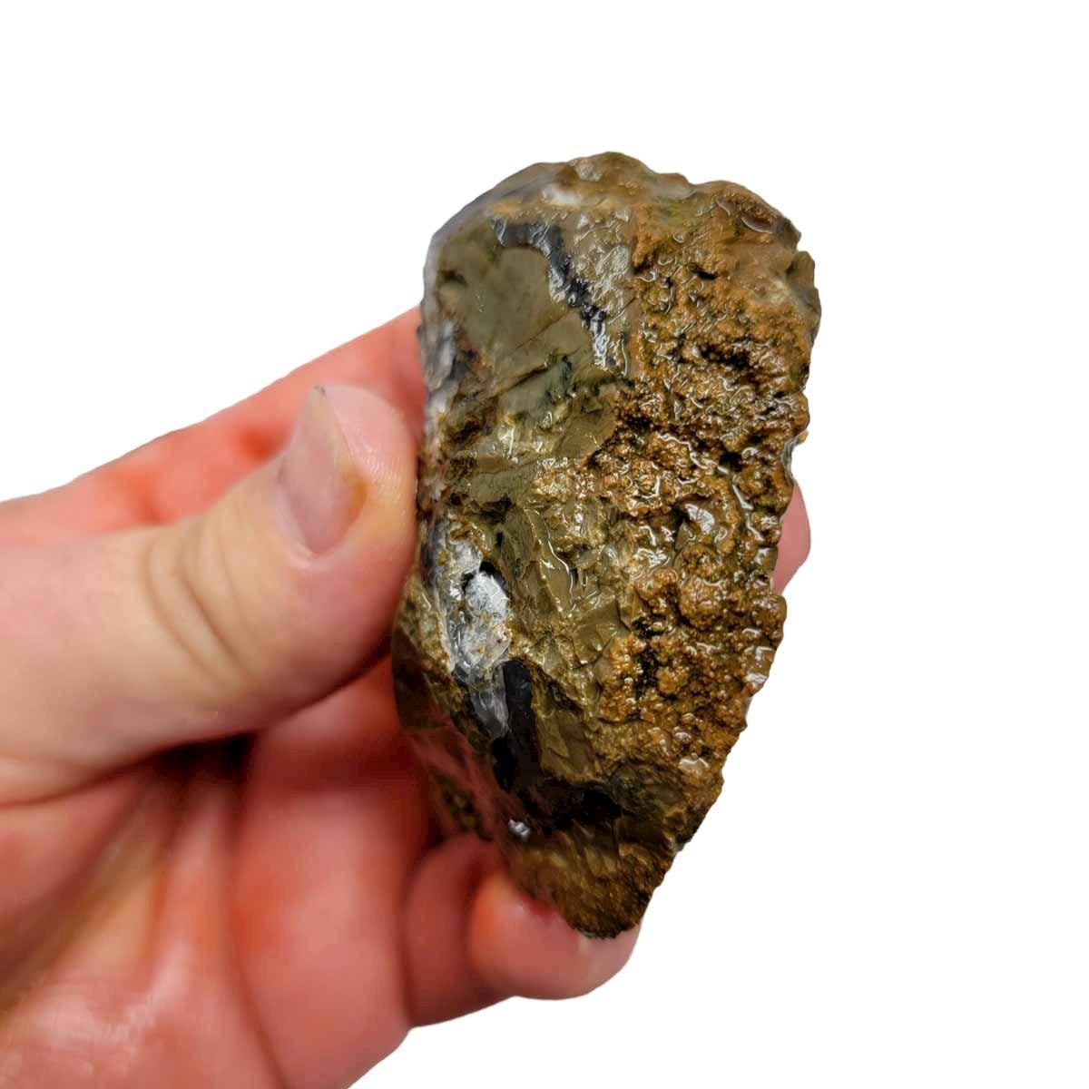 Priday Moss Bed Egg Rough Chunk! - LapidaryCentral